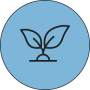 plant.png
