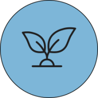  plantje