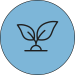 plantje